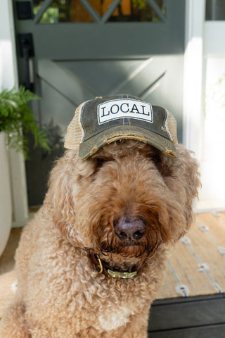 "LOCAL" Distressed Trucker Cap