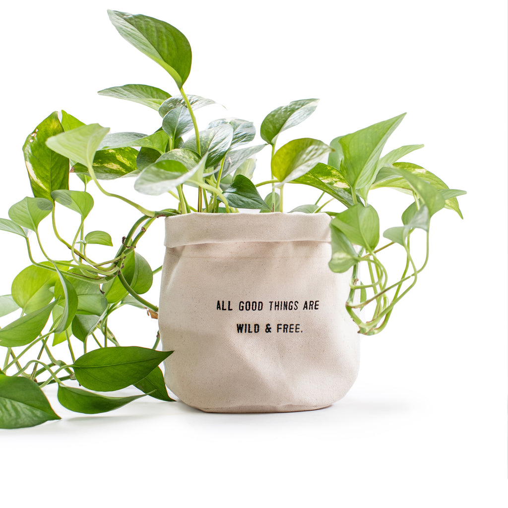 Love Grows Here - Small Canvas Planter – Sugarboo & Co