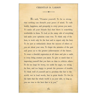 Christian D. Larson - Book Collection - Art Print