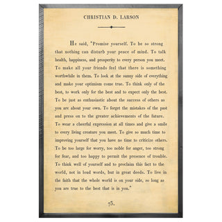 Christian D. Larson - Book Collection (Grey Wood) - Art Print