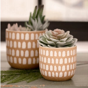 Two small ceramic pots with succulents, adding a touch of greenery to any space.