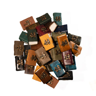 Fairy Diaries - Assorted Colors