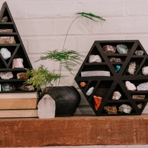 A shelf with rocks and plants on it, adding a natural touch to the room's decor.