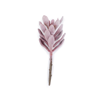 ***Red Succulent Stem
