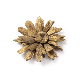 ***Gold Black Tourmaline Starburst Hanging Decor