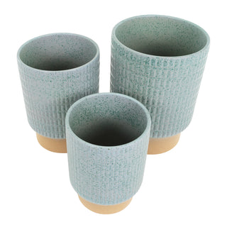 Marla Planter