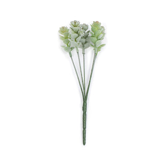 ***Small Flocking Succulent Stem