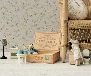Mum and dad Mouse in Cigar Box