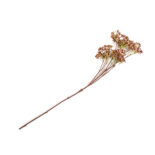 ***Baby's breath Stem