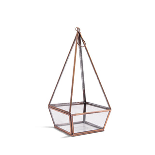 ***Hanging or Standing Point Glass Terrarium 6" x 12" x 6"