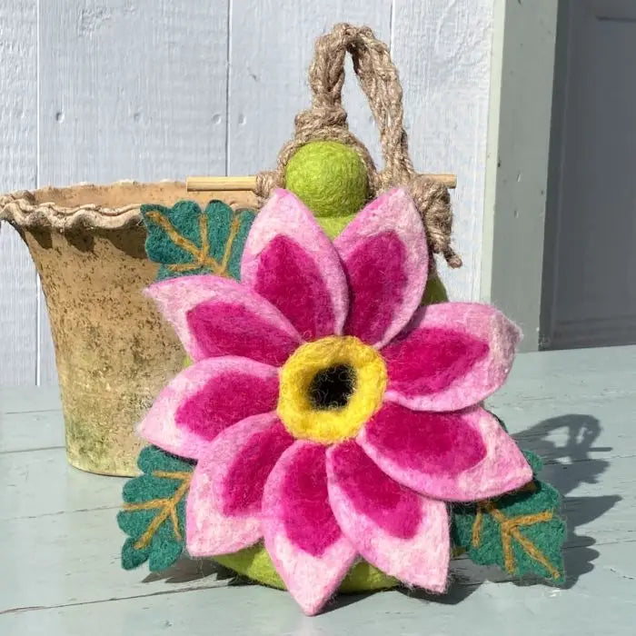 Birdhouse, Dahlia Star