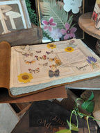 Our Adventure Leather Story Keeper 14" x 10" - Moss