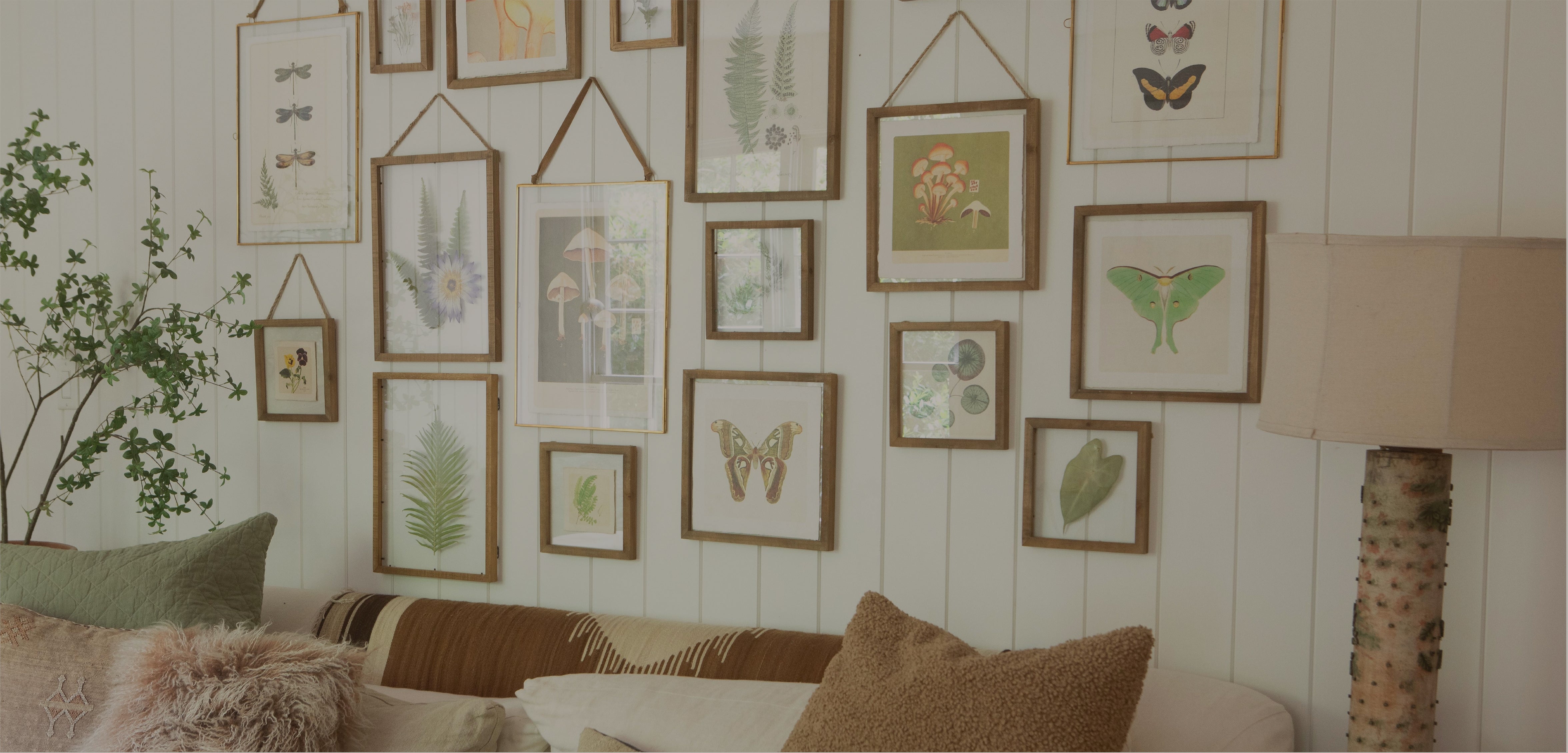 Modern Organic Home Decor | Sugarboo & Co.