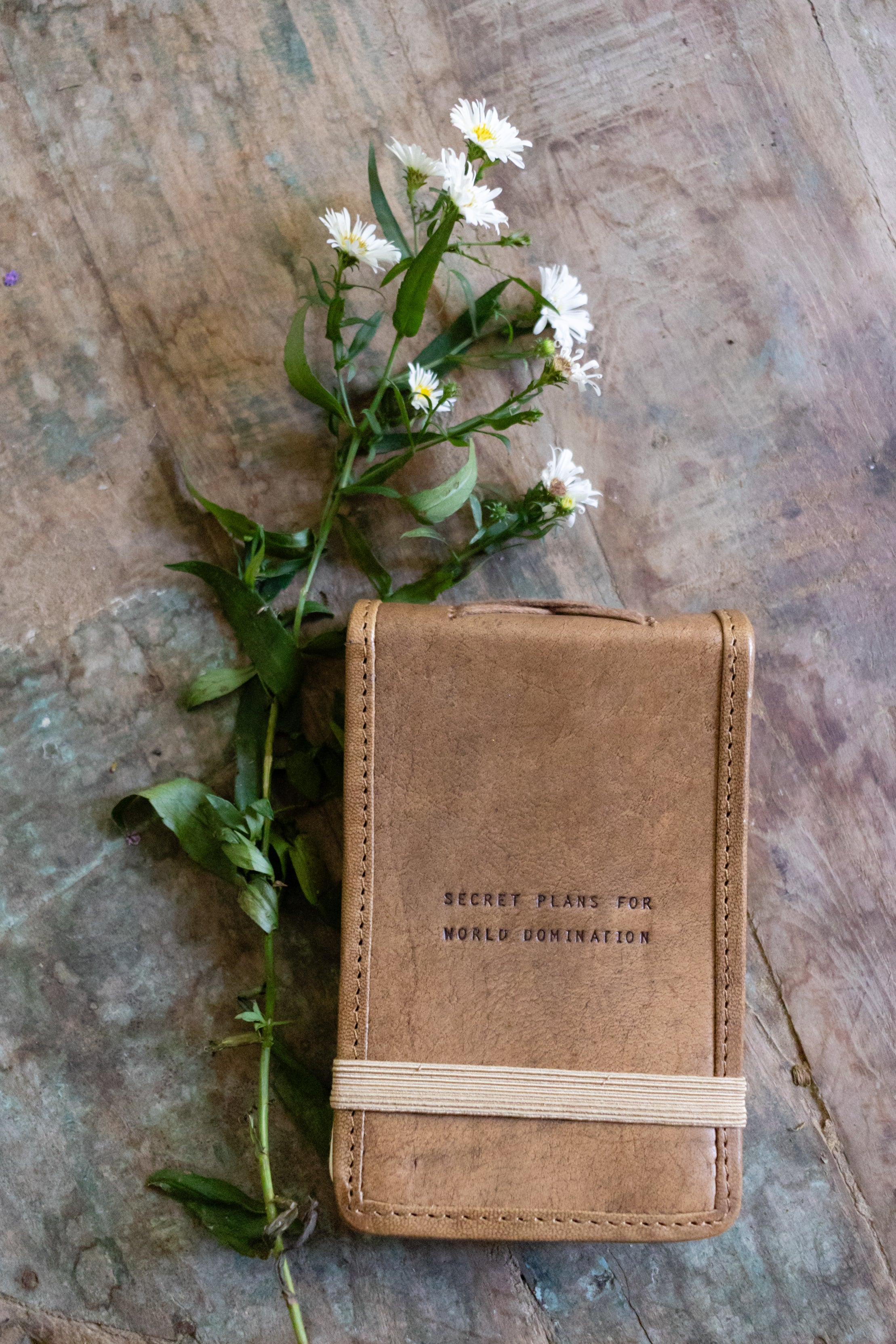 Mini Secret Plans Leather Journal-Maple