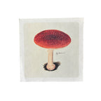Flora & Fauna 8 x 8