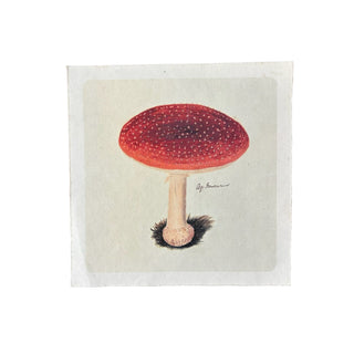 8"x8" Classic Shroom - Flora & Fauna Collection