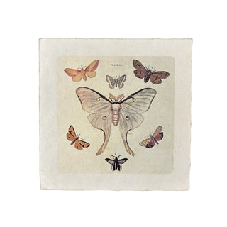 8"x8" Dancing Moths - Flora & Fauna Collection