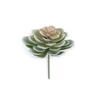 ***Flat Leaf Flocking Succulent