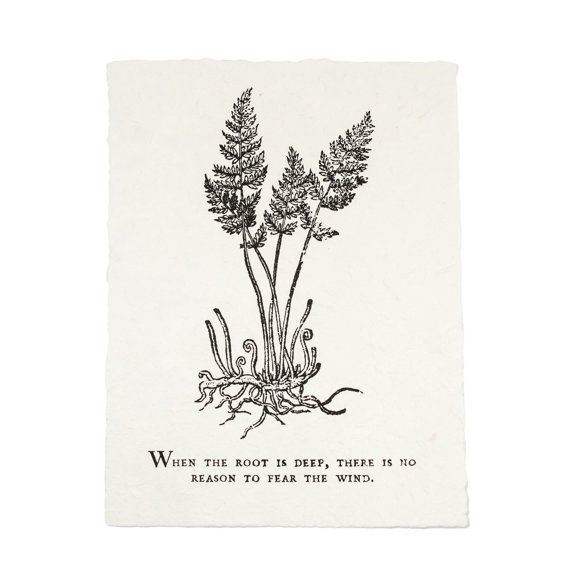 ***When The Root Is Deep Botanical Handmade Paper Print