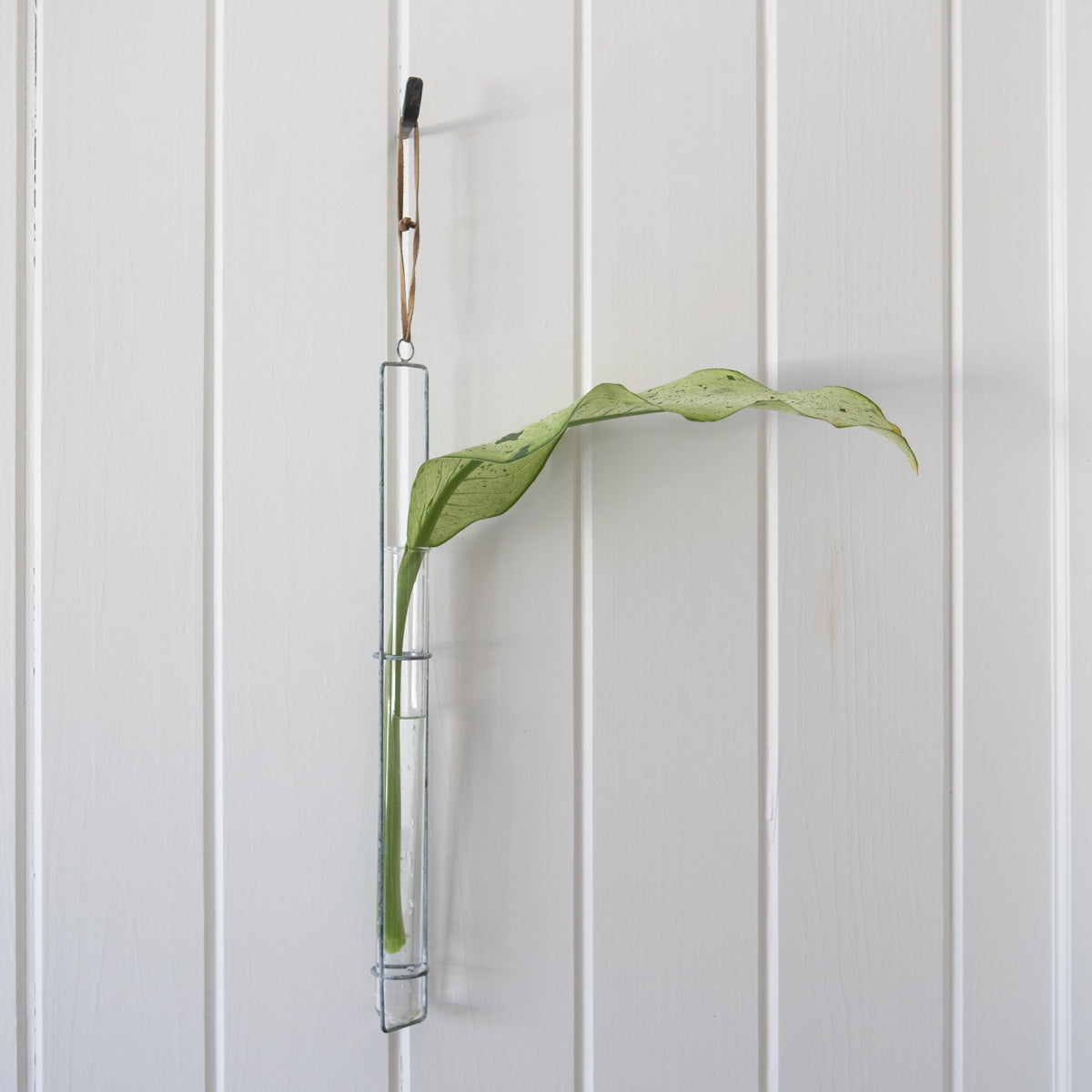 Zinc Hanging Glass Tube Vase