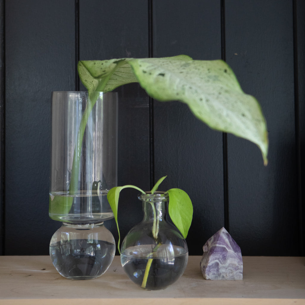 ***Small Glass Vase