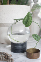 ***Medium Round Glass Dome Vase on Charcoal Marble Base - 5.75" x 5.75" x 8.5"