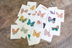Kantha Butterfly Cards