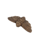 Hand Carved Wooden Moth