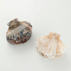 Calacatta Seashell Claw Clip, Small