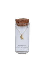 Message in a Bottle Zodiac Necklace Collection Second Edition