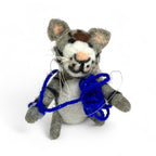 Grey & white Naughty Kitten with Blue yarn