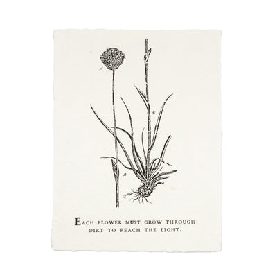 Botanical Handmade Paper Print