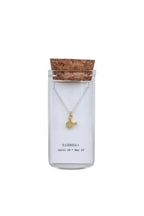 Message in a Bottle Zodiac Necklace Collection Second Edition