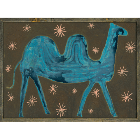 Camel In The Stars