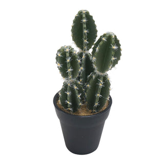 Faux Pachycereus Cactus with Pot