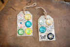 Magnet Collection 2nd Edition