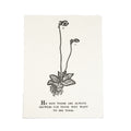 ***He Said There Are Always Flowers Botanical Handmade Paper Print