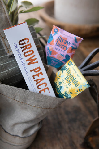Bright Side Seed Balls- Grow Peace