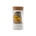 Palo Santo, Sage and Tigers Eye Smudge Jar