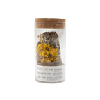 Palo Santo Smudge Jars