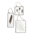 1st Edition Assorted Plumes Collection - Set of 6