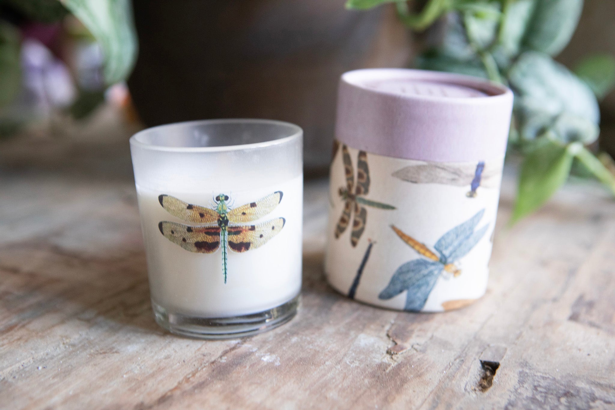 Dragonfly Flora & Fauna Candle