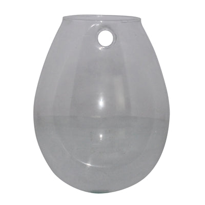 Sole Wall Terrarium, Glass