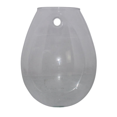 Sole Wall Terrarium, Glass