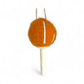 Orange with White Stiches mushroom - Felt Patch of Mushrooms