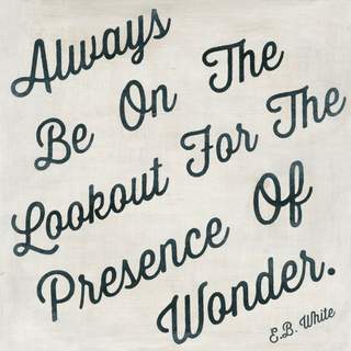 Always Be On The Lookout - Art Print
