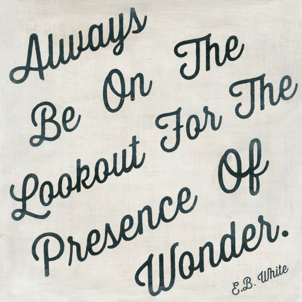 Always Be On The Lookout - Art Print