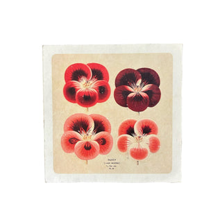 8"x8" Red Pansies - Flora & Fauna Collection