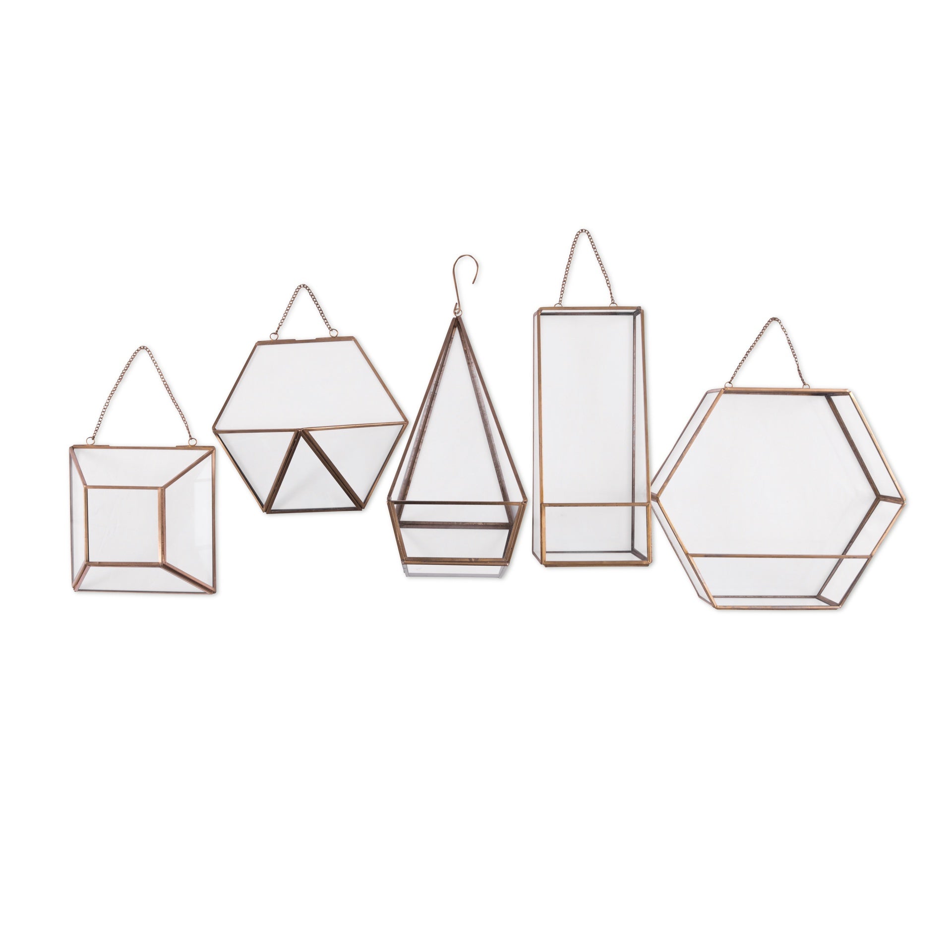 Hanging Glass Terrarium