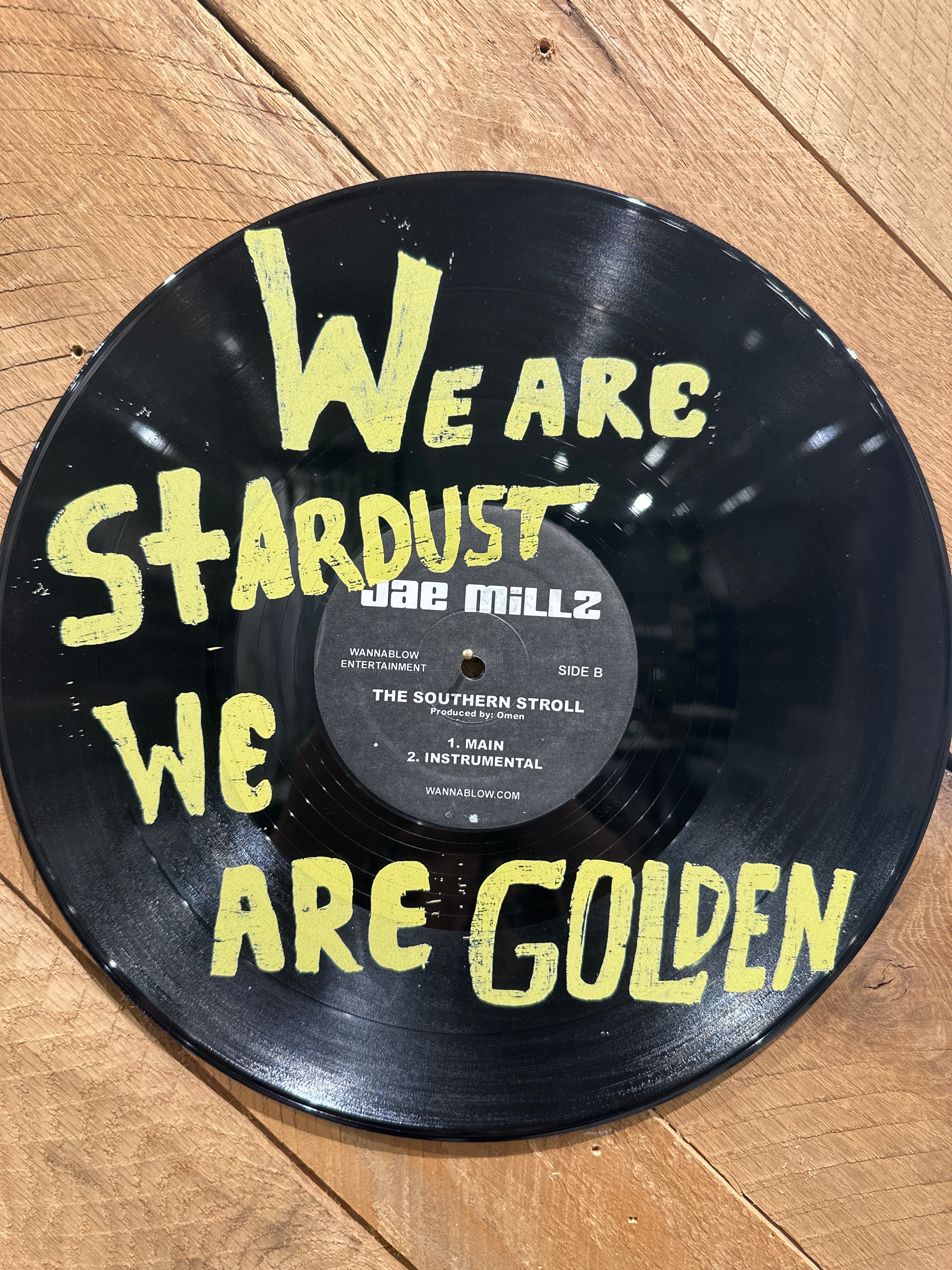 We Are Stardust We Are Golden Vinyl Record
